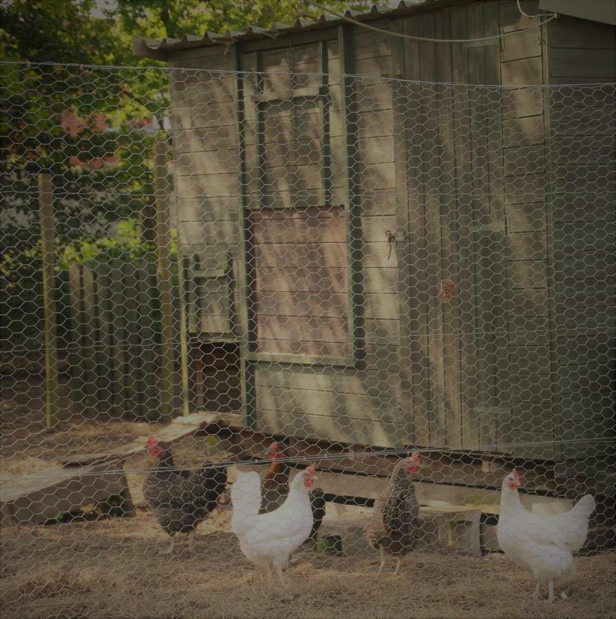 Forest Farm Papplewick Nottingham - Spacious Self-Contained Rural Retreat! Exteriér fotografie